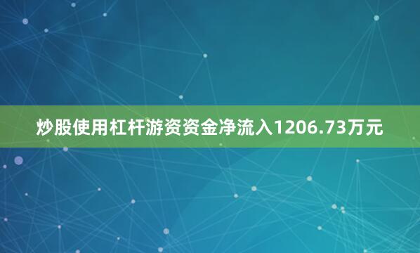 炒股使用杠杆游资资金净流入1206.73万元