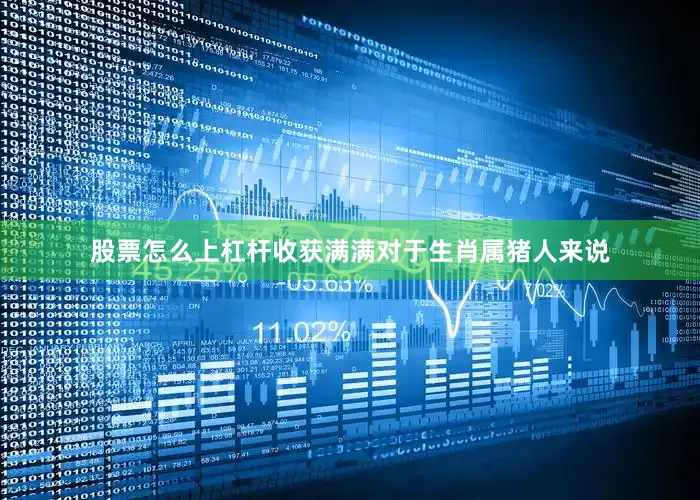 股票怎么上杠杆收获满满对于生肖属猪人来说