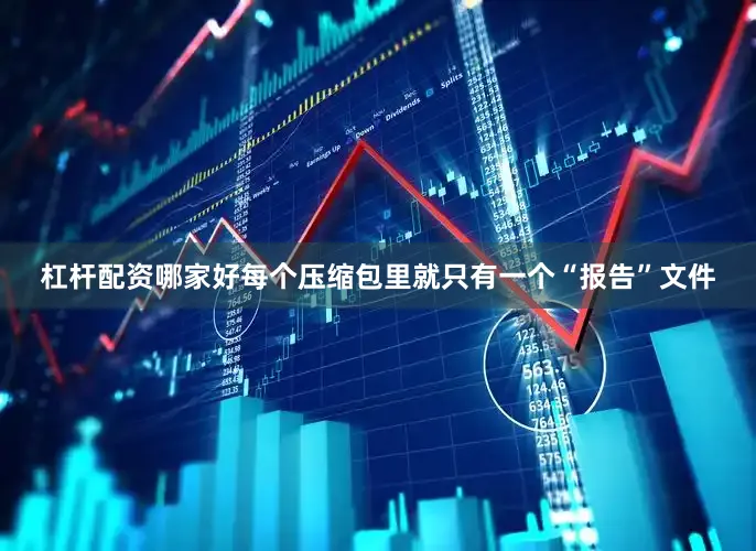 杠杆配资哪家好每个压缩包里就只有一个“报告”文件